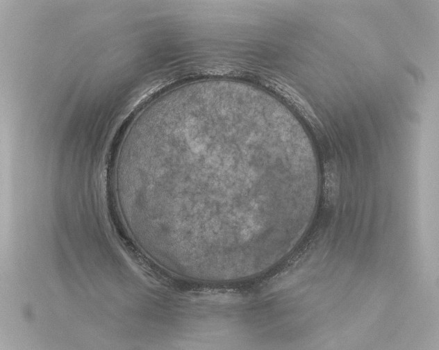 X0000116030626200912041935