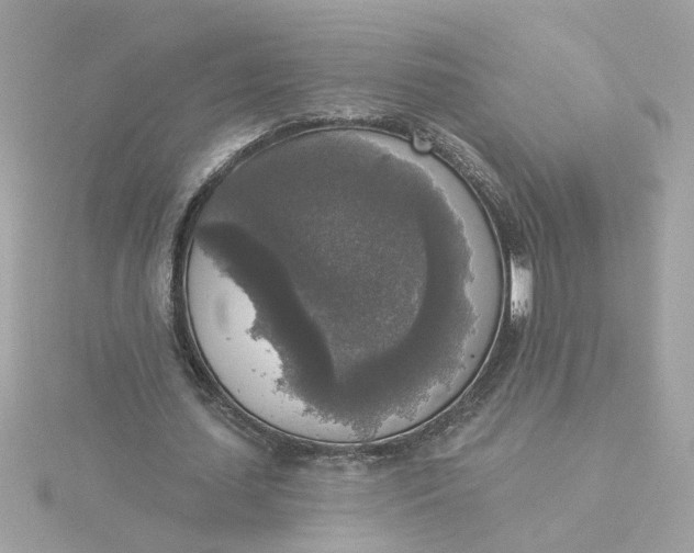 X0000116030627200912041935