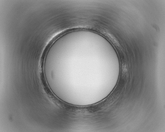 X0000116030628200912041935