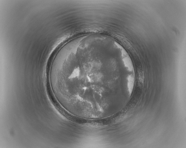 X0000116030630200912041935