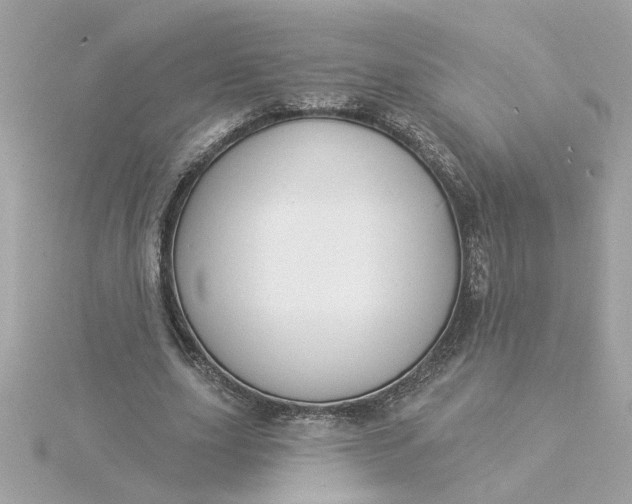 X0000116030631200912041935