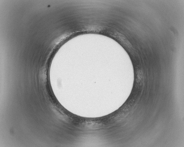 X0000116030632200912041935