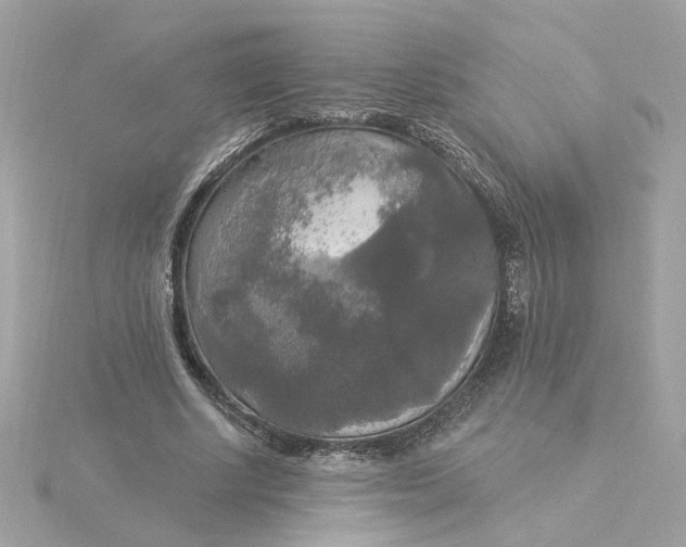 X0000116030634200912041935