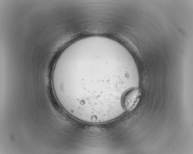 X0000116030635200912041935