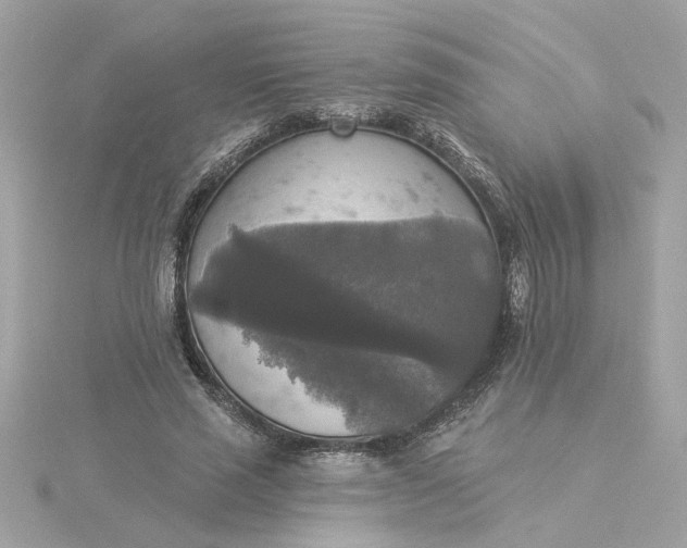 X0000116030637200912041935