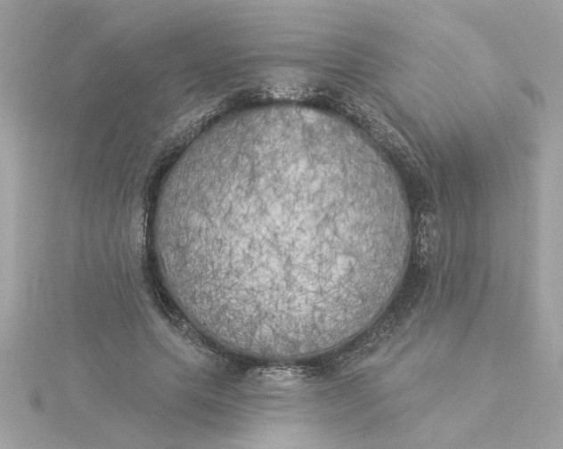 X0000116030639200912041935