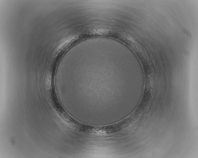 X0000116030640200912041935