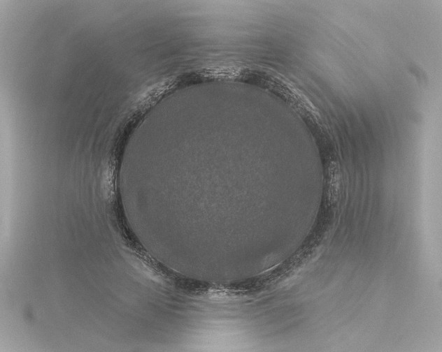 X0000116030641200912041936