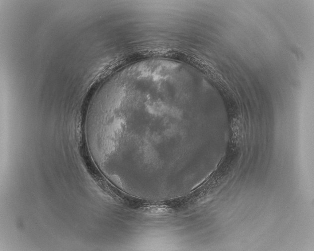 X0000116030642200912041936