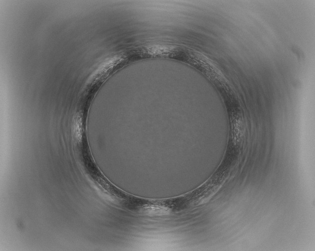 X0000116030644200912041936