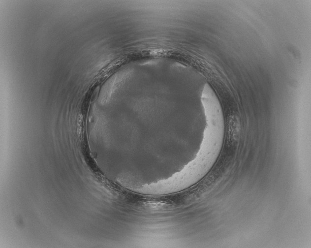 X0000116030650200912041936