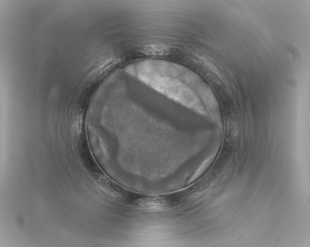 X0000116030652200912041936