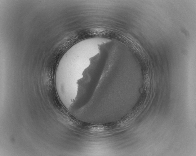 X0000116030653200912041936