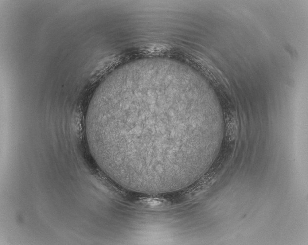 X0000116030654200912041936