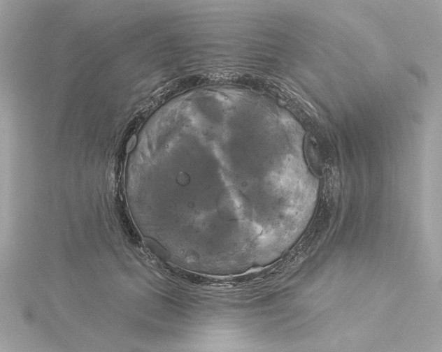 X0000116030655200912041936