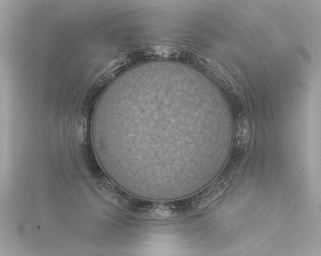 X0000116030656200912041936