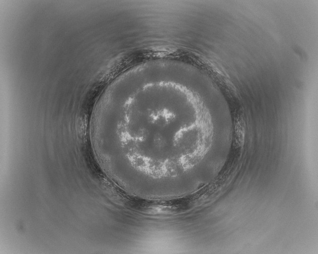 X0000116030657200912041936