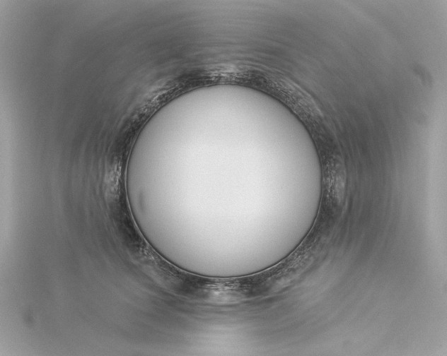 X0000116030660200912041936