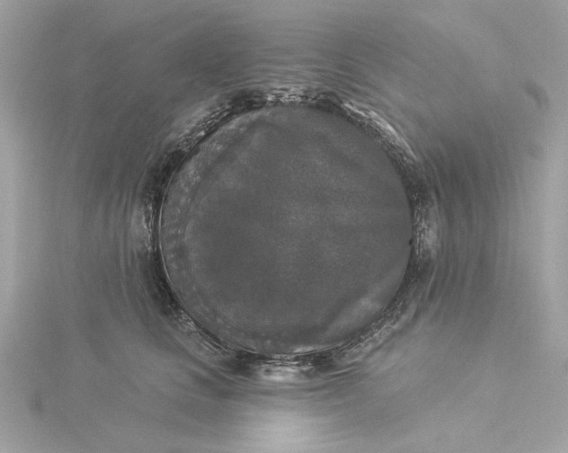 X0000116030661200912041936