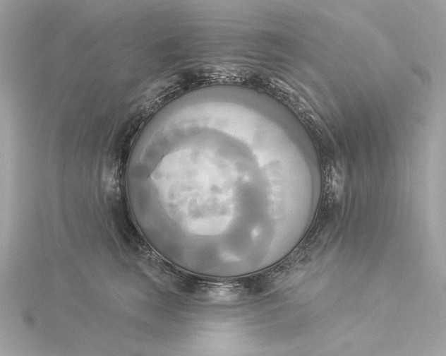 X0000116030663200912041936