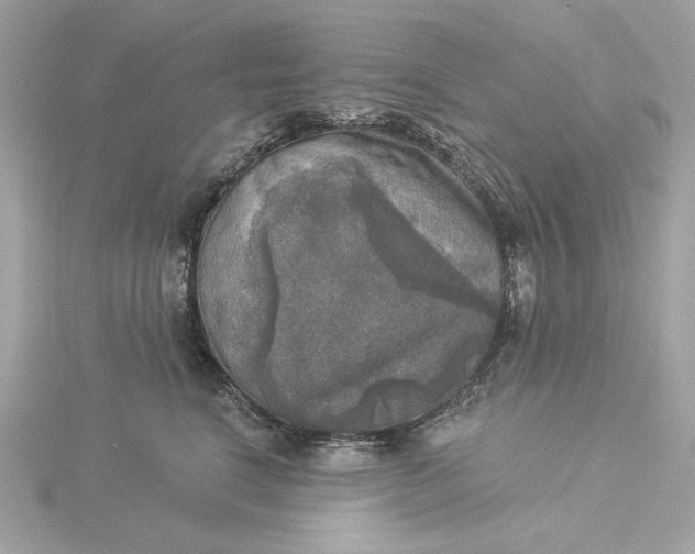 X0000116030664200912041936