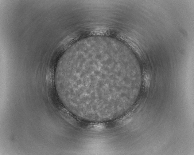 X0000116030665200912041936