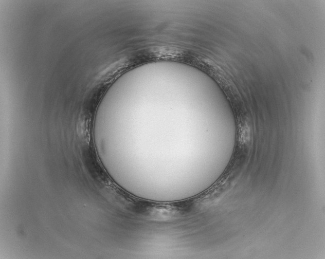 X0000116030666200912041936