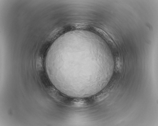 X0000116030667200912041936