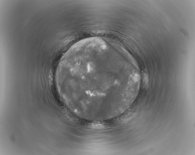 X0000116030668200912041936