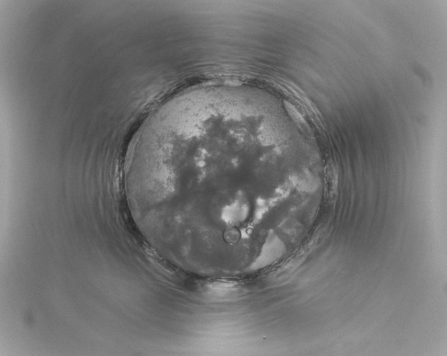 X0000116030669200912041936