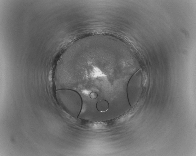 X0000116030670200912041936