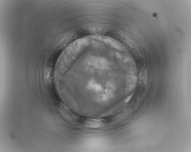 X0000116030671200912041936