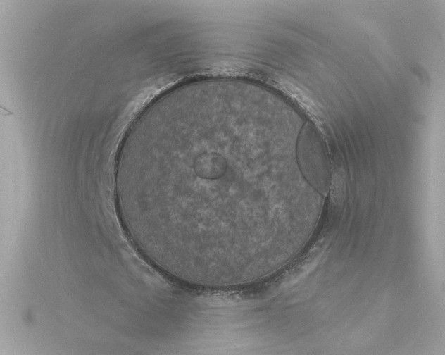 X0000116030673200912041935