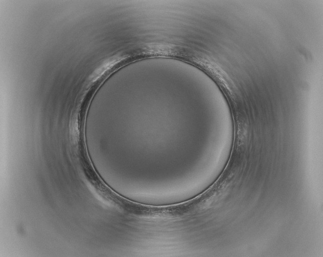 X0000116030674200912041935