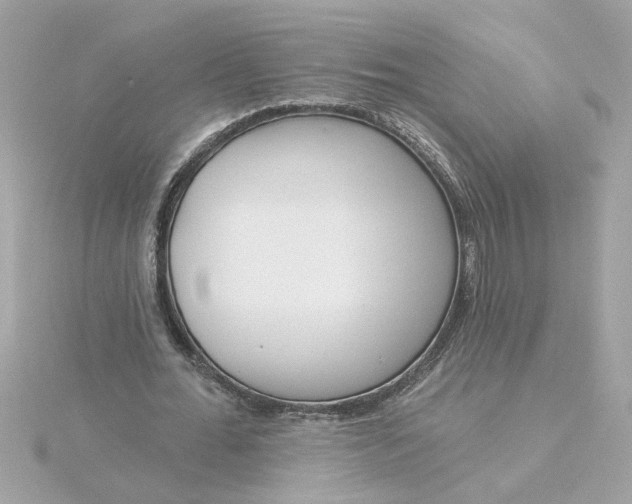 X0000116030676200912041935