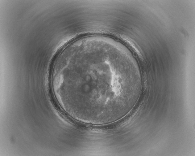 X0000116030677200912041935