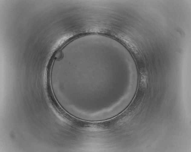 X0000116030678200912041935