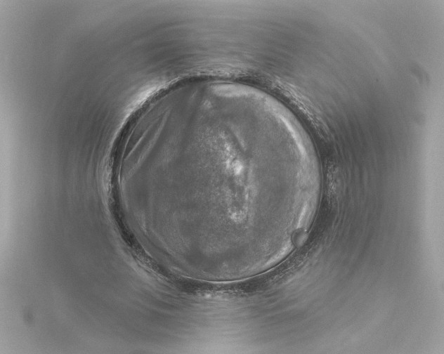 X0000116030679200912041935