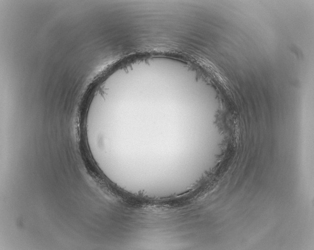 X0000116030680200912041935