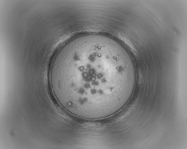 X0000116030681200912041935