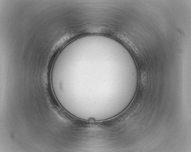 X0000116030682200912041935