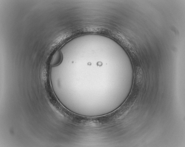 X0000116030683200912041935