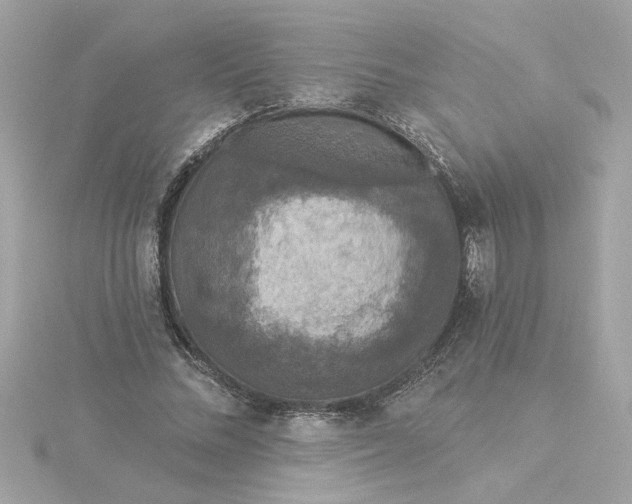 X0000116030684200912041935