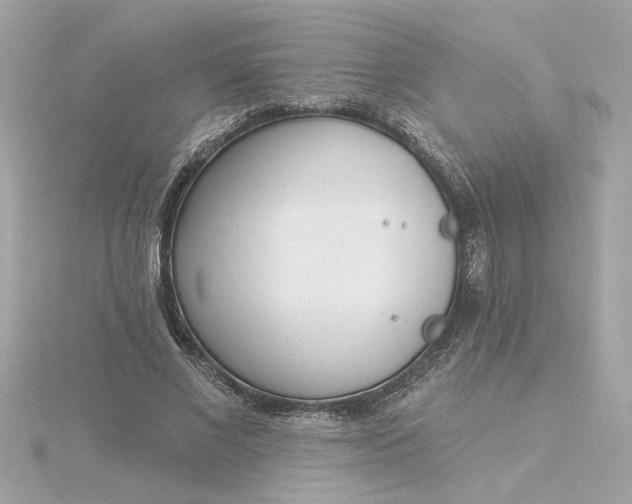 X0000116030685200912041935