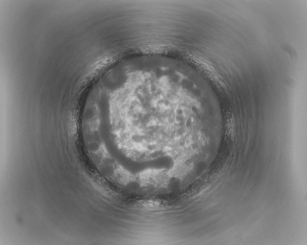 X0000116030687200912041935