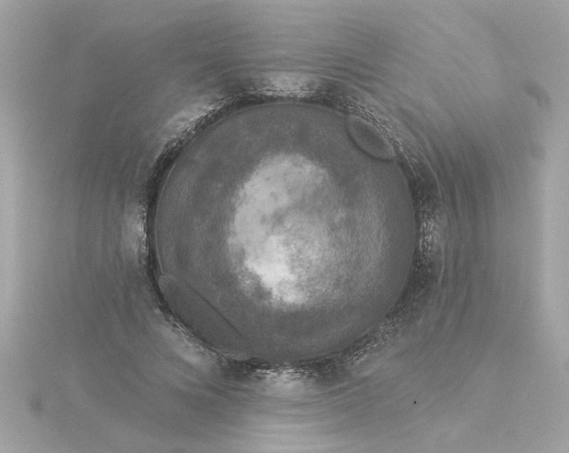 X0000116030688200912041935