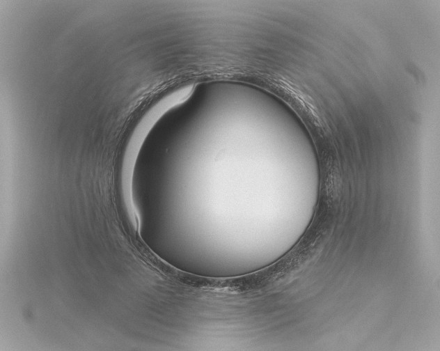 X0000116030689200912041935