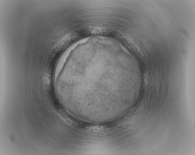 X0000116030691200912041935