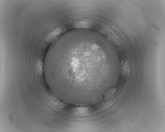 X0000116030692200912041935