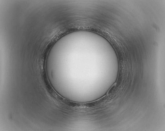 X0000116030695200912041935